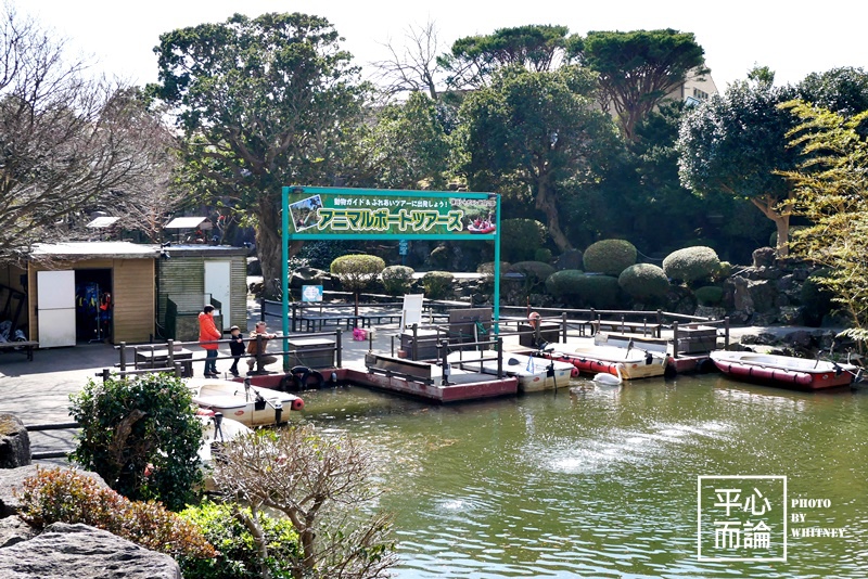 伊豆仙人掌動物園 (13).JPG