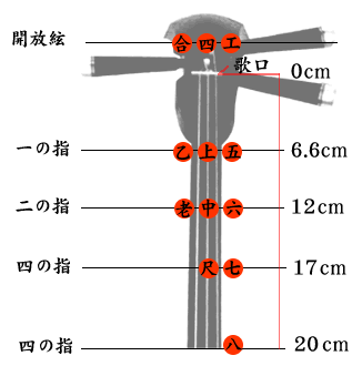 想要學三線的朋友 告訴你它真的很簡單唷 安里屋小調 三線子の喵japan 痞客邦