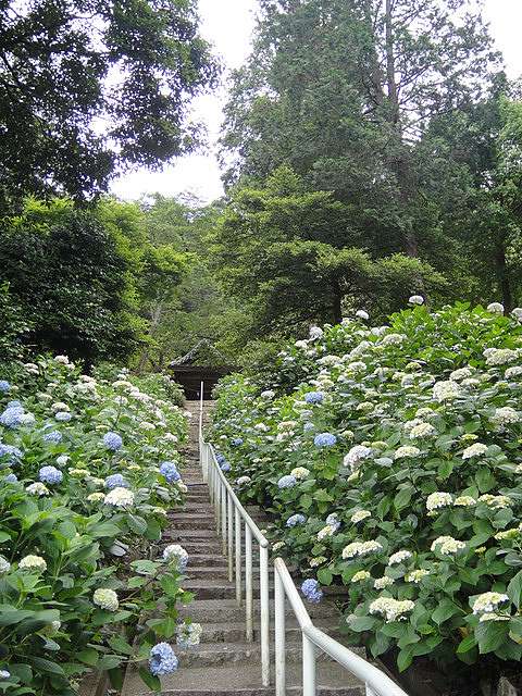 16 岡山 吉備津神社 Keri S Traveling Plan 痞客邦