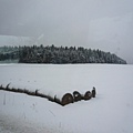 Day2_捷克12_整捆的乾草佈滿雪好像超大的瑞士捲.JPG