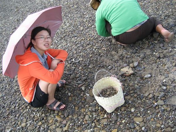 挖蛤類....吃起來像海瓜子...