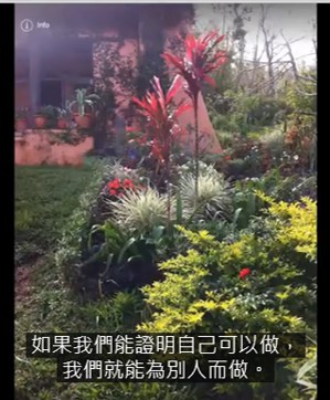 山中的小花園(二)紅色植物.jpg