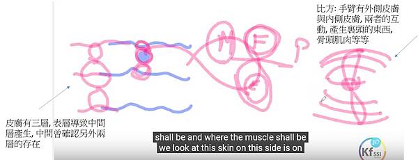 皮膚結構.jpg 皮膚結構.jpg