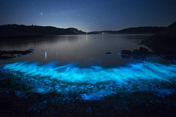 發光的浮游生物.jpg