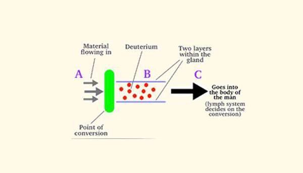 converting Carbon 14 to deuterium (分解圖).jpg converting Carbon 14 to deuterium (分解圖).jpg