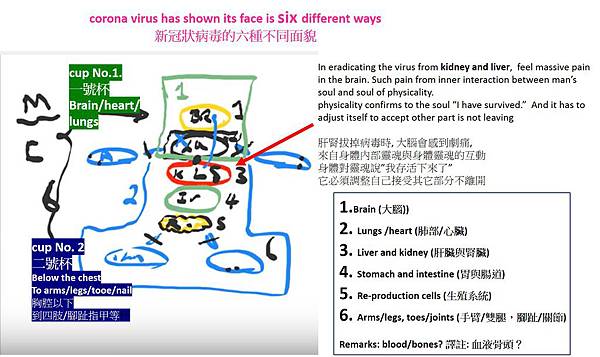 新冠狀病毒的六種不銅面貌.jpg