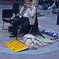 盲人街頭藝人&導盲犬