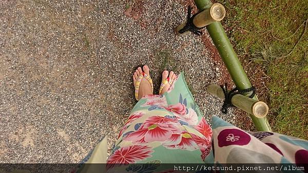 DSC_4445.JPG DSC_4445.JPG