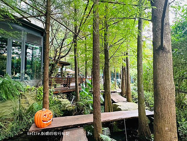 [台中景點]享自在生態園區:南瓜造景來襲、水上落羽松林道、鹿