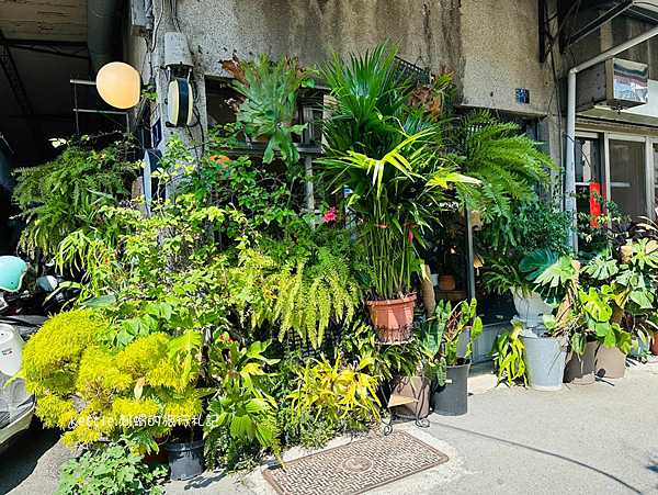 [台中西區]張波歺室:超平價泰式料理、模範街的綠意小店、近勤