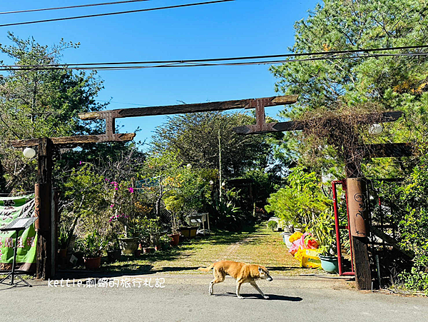 [台中景點]松居若水蔬食庭園餐廳:都市中的禪意小秘境、近大坑