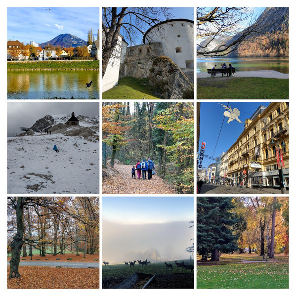 IMAG9040-EFFECTS-COLLAGE.jpg IMAG9040-EFFECTS-COLLAGE.jpg