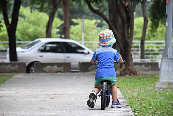 /tmp/phpkmrSYf /tmp/phpkmrSYf