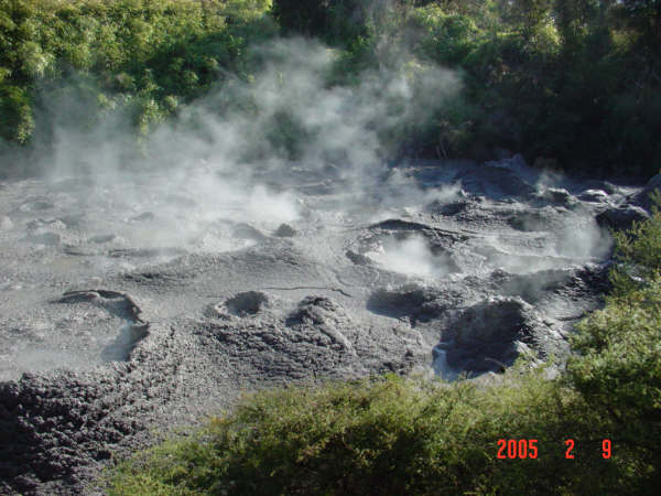 0209羅吐魯阿地熱區03.JPG