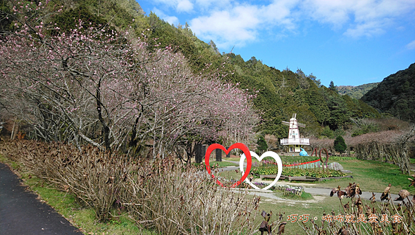 杉林溪森林生態園區,松瀧岩瀑布,九九吊橋,天地眼,花卉中心,千古紅檜,郁金香,南投,杉林溪森林生態渡假園區
