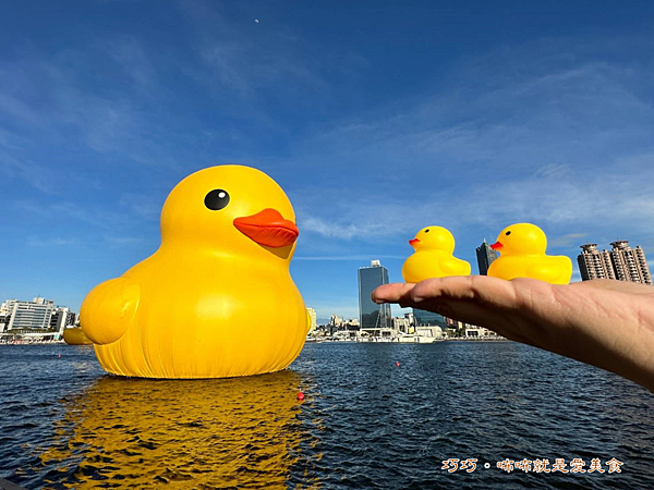 活動｜高雄旅遊｜2024人氣活動「黃色小鴨」