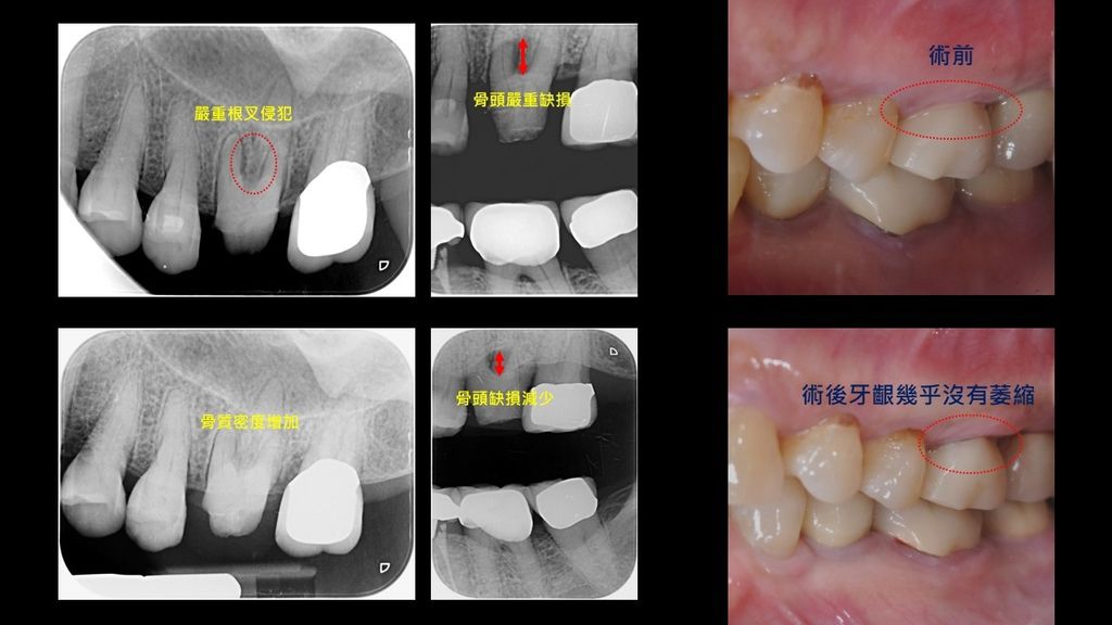 劉麗萍26.jpg