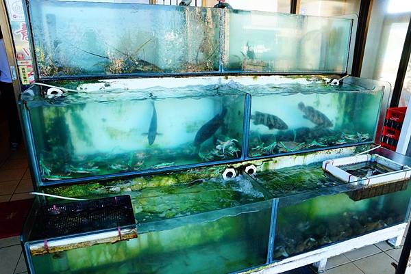 DSC04283.JPG DSC04283.JPG