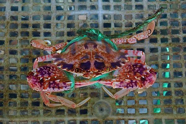 DSC04276.JPG DSC04276.JPG