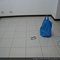 IMG_3211.JPG