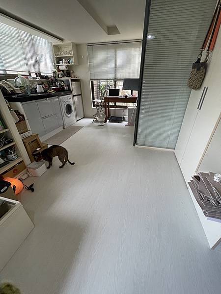 IMG_9539.JPG IMG_9539.JPG