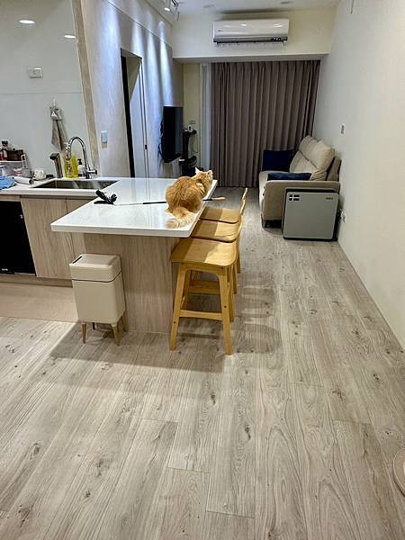 德國原裝PARODOR超耐磨木地板~中和住家新成屋 德國原裝PARODOR超耐磨木地板~中和住家新成屋