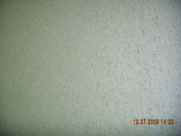 DSCN4120.JPG