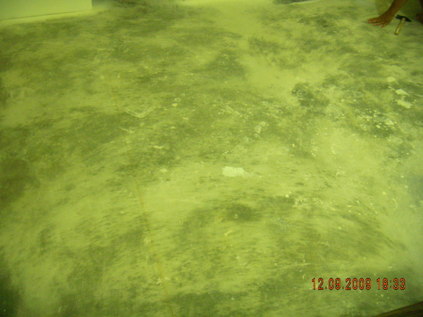 DSCN4353.JPG