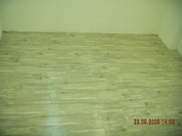 DSCN4435.JPG