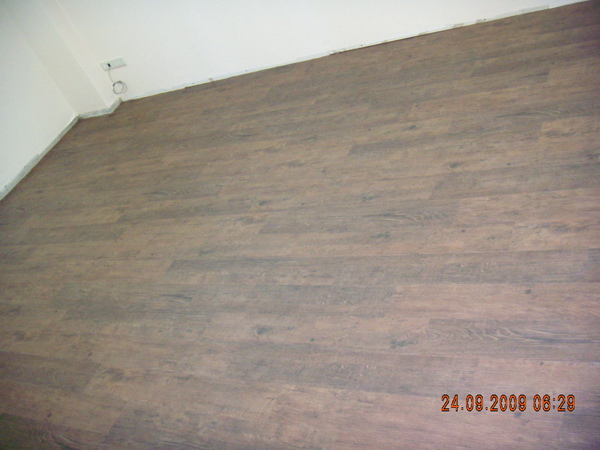 DSCN4447.JPG