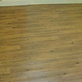DSC06247.JPG
