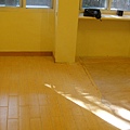 DSC06235.JPG