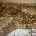 DSCN4833.JPG