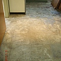 DSCN4852.JPG