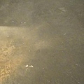 DSC08544.JPG