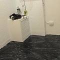 DSC08547.JPG