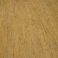DSC08552.JPG