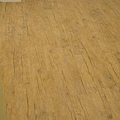 DSC08553.JPG
