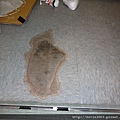 DSC00512.JPG