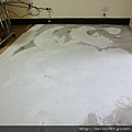 DSC00731.JPG