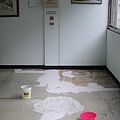 DSC08926.JPG
