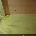 DSC02125.JPG