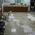 DSC08928.JPG