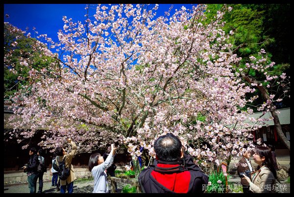 20150404_陳信富0494.jpg