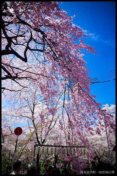 20150404_陳信富0530.jpg