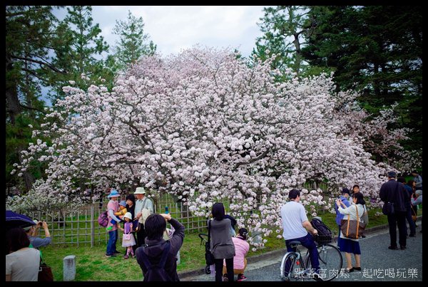 20150404_陳信富0588.jpg