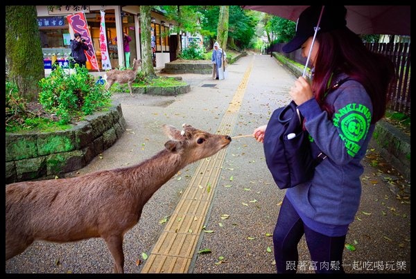 20150405_陳信富0888.jpg