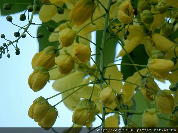 1462718463340.jpg 1462718463340.jpg