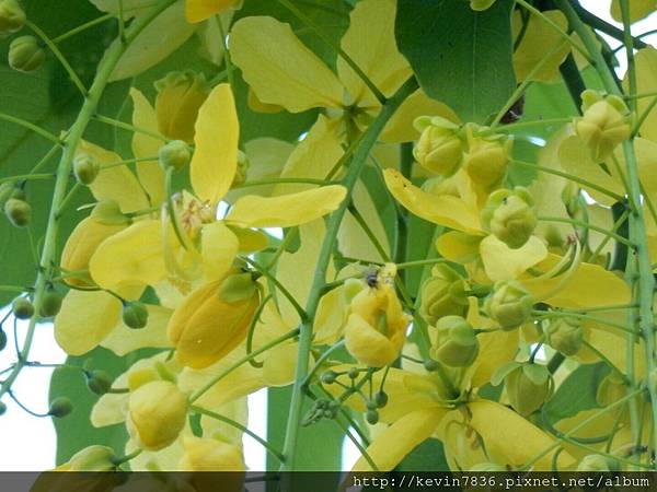 1462718458695.jpg 1462718458695.jpg