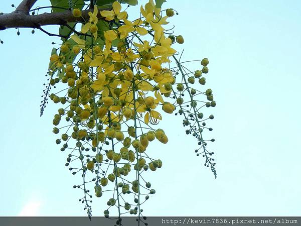 1462718452200.jpg 1462718452200.jpg